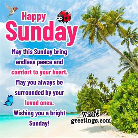 Sunday Greetings: A Guide to a Joyful and Blessed Sunday