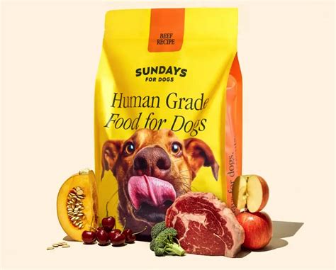 Sundays Dog Food: Unleashing Optimal Brain Health in 2025