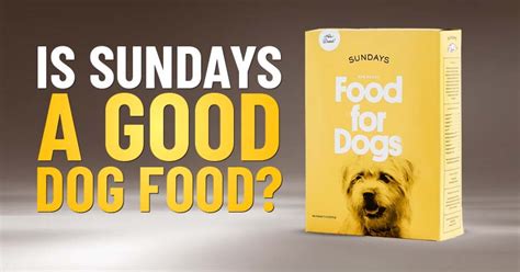 Sundays for Dogs Reviews: 7,000+ Pet Owners Can't Be Wrong