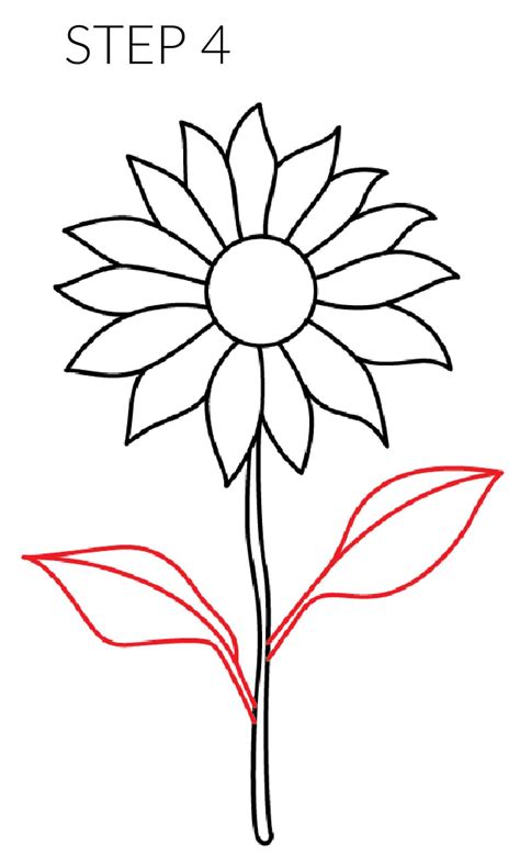 Sunflower Drawings Easy