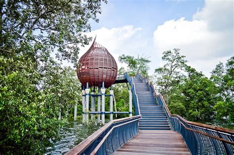 Sungei Buloh Wetland: A Thriving Ecosystem with 10,000 Wonders