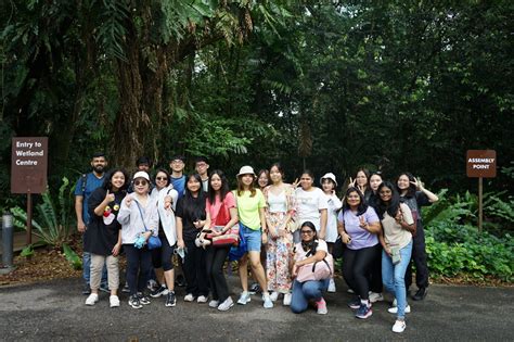 Sungei Buloh Wetland Reserve: A Haven for Nature Enthusiasts and Wildlife Aficionados