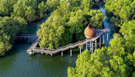 Sungei Buloh Wetland Reserve: A Pristine Sanctuary for Wildlife and Nature Enthusiasts