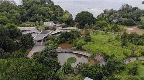 Sungei Buloh Wetland Reserve: A Vital Eco-Haven and a Haven for Birdwatchers