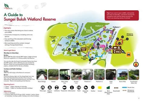 Sungei Buloh Wetland Reserve News: A Comprehensive Guide to the Pristine Sanctuary