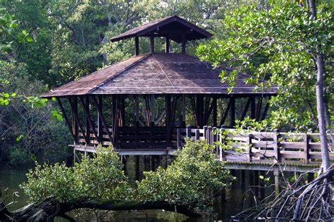 Sungei Buloh Wetland Reserve Wetland Centre: A Haven for Nature Lovers and Wildlife Enthusiasts