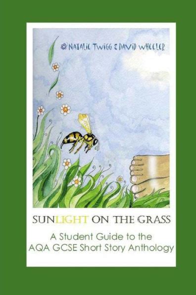 Sunlight on the Grass: A Student Guide to the Aqa Gcse Short Story Anthology Ebook Epub