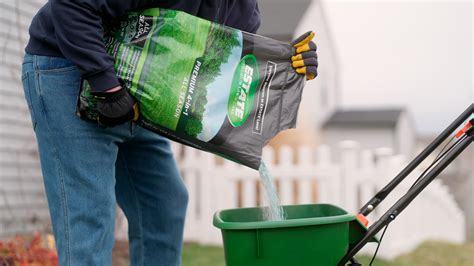 Sunnyland's 4-in-1: Fertilizer with Pesticides for Your Lush, Pest-Free Garden