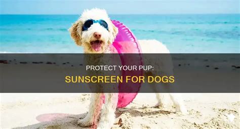 Sunscreen for Dogs: Protecting Your Pup from the Sun's Harmful Rays