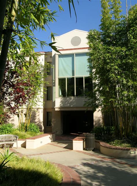 Sunset Village: UCLA's Tranquil Oasis for On-Campus Living