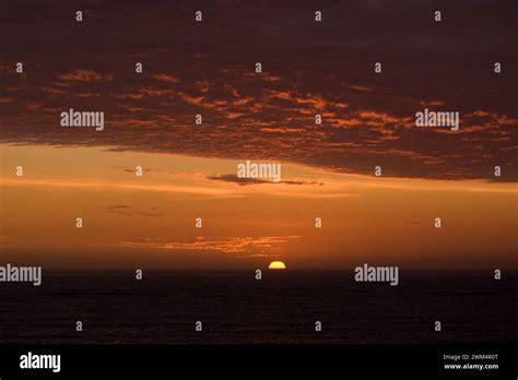 Sunsetting Epub