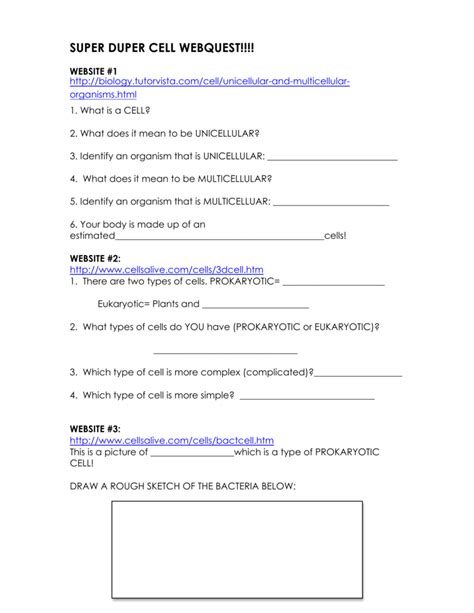 Super Duper Cell Webquest Answers Key PDF