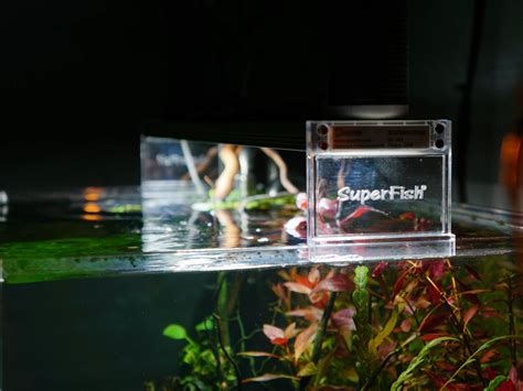 Super Fish