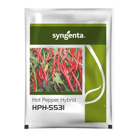 Supercharge Your Chilli Yields with Syngenta Chilli Seeds: The Definitive Guide