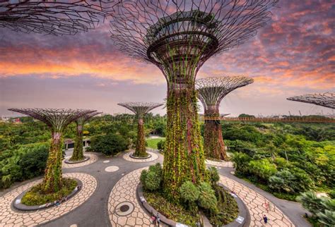 Supertree Grove: Gardens by the Bay's Enchanting Vertical Garden 2025