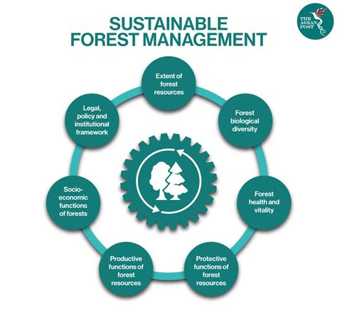 Support Sustainable Forestry: