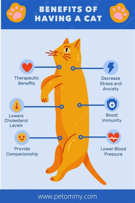 Supporting Data on the Importance of Cat Welfare