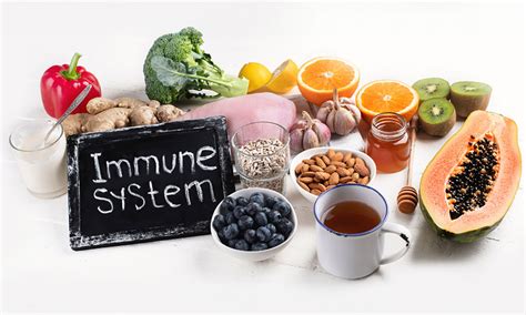 Supports Immune System: