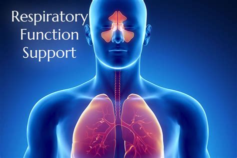 Supports Respiratory Health: