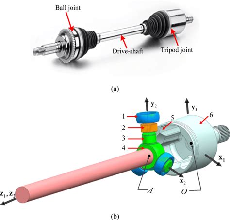 Supports the Driveshaft: