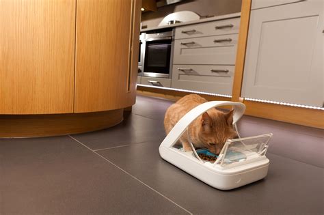 SureFeed: The Smart Solution for Secure Pet Feeding