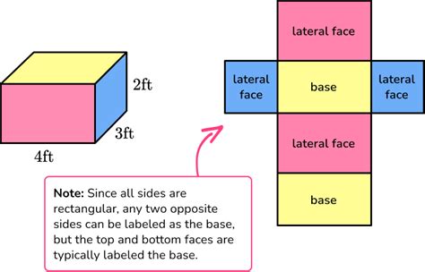 Surface Area: