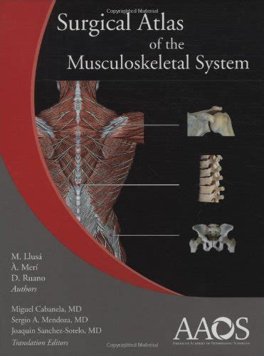 Surgical Atlas Of The Musculoskeletal System Kindle Editon