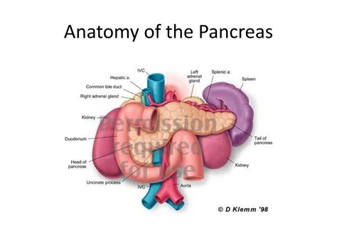 Surgical Diseases of the Pancreas Reader