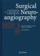 Surgical Neuroangiography Vol. 3 : Clinical and Interventional Aspects in Children 2nd Edition Kindle Editon