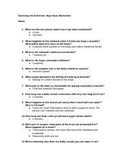 Surviving The Extremes High Seas Worksheet Answers Kindle Editon