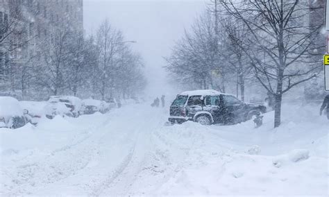 Surviving Winter's Wrath: The Essential Guide to Timberland Snow Boots