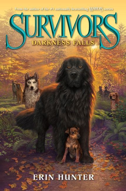 Survivors 3 Darkness Falls Reader