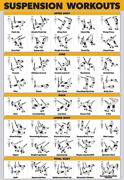 Suspension Trainer Exercise Chart