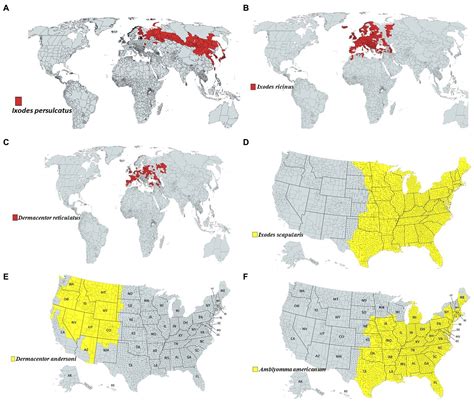 Suss World Rankings: Unraveling the Global Distribution of Suspicion