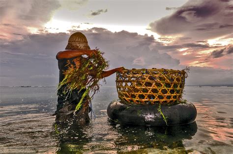 Sustainable Aquaculture: