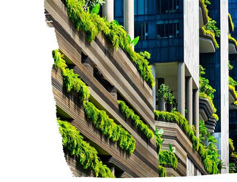 Sustainable Building: A Comprehensive Guide to Greening Singapore's Built Environment