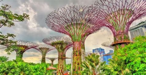 Sustainable Development and Singapore: A Comprehensive Guide to Sustainability Courses