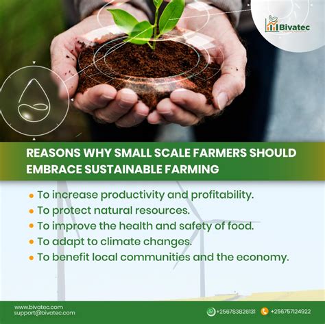 Sustainable Farming: A Growing Necessity