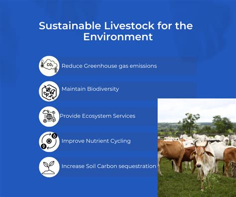 Sustainable Livestock Farming: The Urgent Need