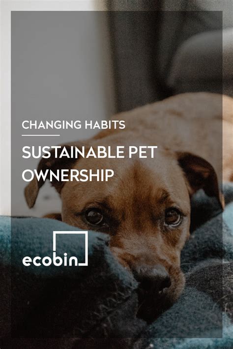 Sustainable Pet Ownership: 2025 and Beyond