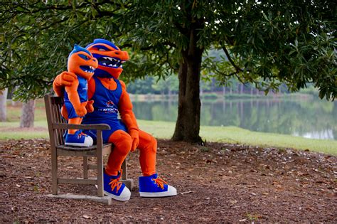 Swan - Clayton State University: A Symbol of Grace and Excellence