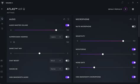 Swarm II Doc