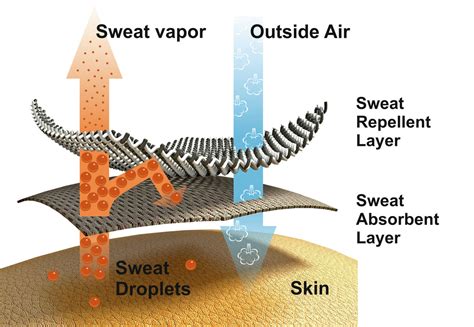 Sweat Absorption: