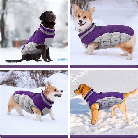 Sweatshirts for Puppies: The Ultimate Guide to Keeping Your Furry Friend Warm and Stylish