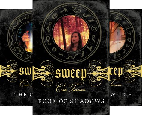 Sweep 15 Book Series