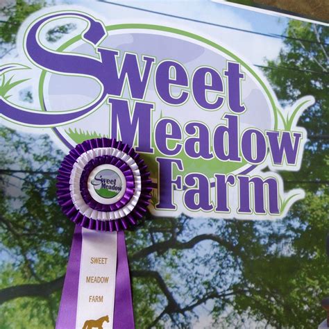 Sweet Meadow Farm: A Comprehensive Guide to a Lucrative Agri-Business