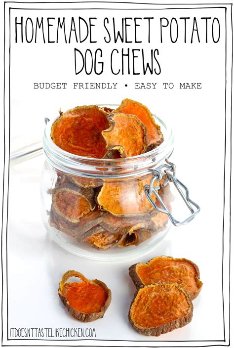 Sweet Potatoes for Dogs: A Comprehensive Guide to Health Benefits, Recipes, and More