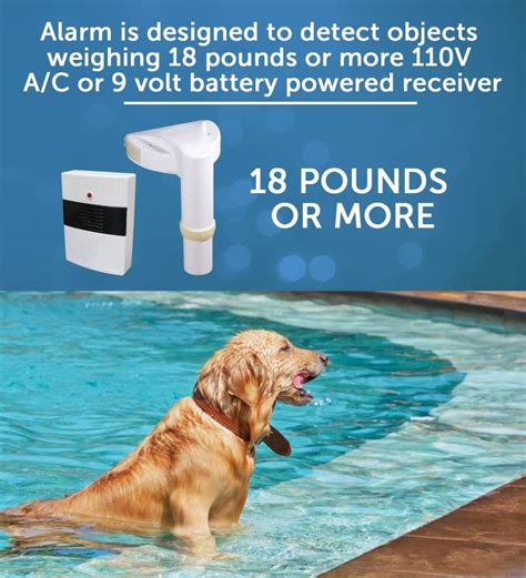 Swimming Pool Alarm: A Comprehensive Guide to Enhancing Pool Safety