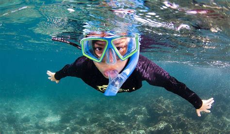 Swimming and snorkeling: