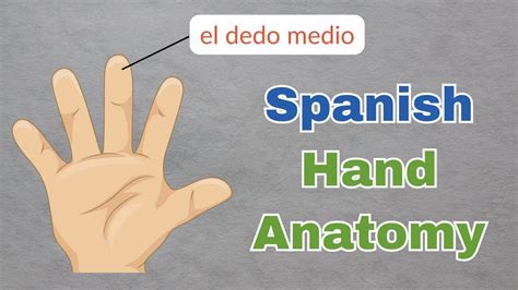 Swipe en Español: The Ultimate Guide to Mastering Español Gestures